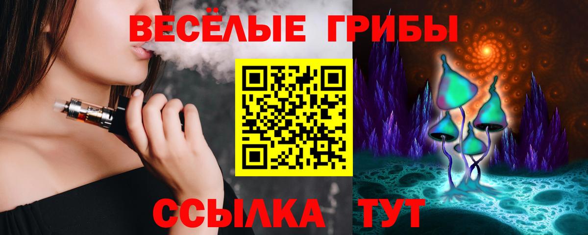 Дмитров  Галлюциногенные грибы Magic Shrooms  Вход с VPN  Псилоцибиновые грибы Psilocybe 